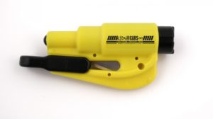 Kids and Cars resqme tool